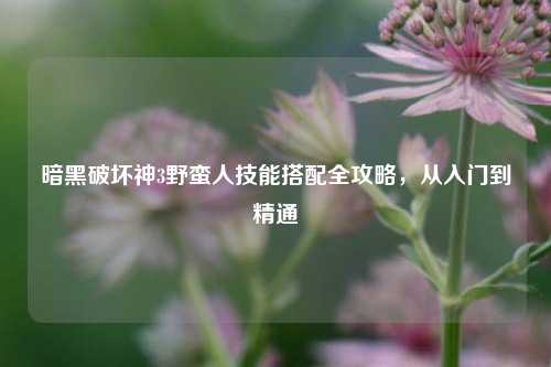 暗黑破坏神3野蛮人技能搭配全攻略，从入门到精通