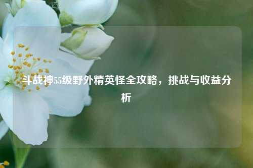 斗战神55级野外精英怪全攻略，挑战与收益分析