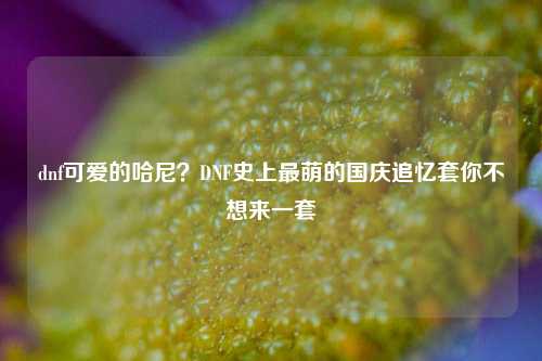 dnf可爱的哈尼?DNF史上最萌的国庆追忆套你不想来一套