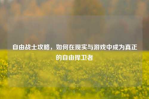 自由战士攻略，如何在现实与游戏中成为真正的自由捍卫者