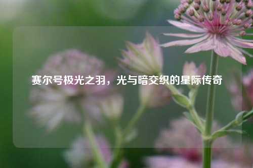 赛尔号极光之羽，光与暗交织的星际传奇