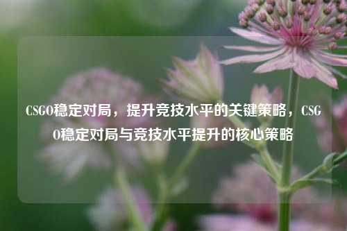 CSGO稳定对局，提升竞技水平的关键策略，CSGO稳定对局与竞技水平提升的核心策略