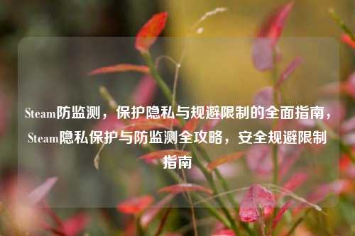 Steam防监测，保护隐私与规避限制的全面指南，Steam隐私保护与防监测全攻略，安全规避限制指南