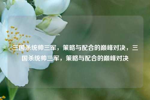 三国杀统帅三军，策略与配合的巅峰对决，三国杀统帅三军，策略与配合的巅峰对决