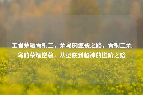 王者荣耀青铜三，菜鸟的逆袭之路，青铜三菜鸟的荣耀逆袭，从垫底到超神的进阶之路
