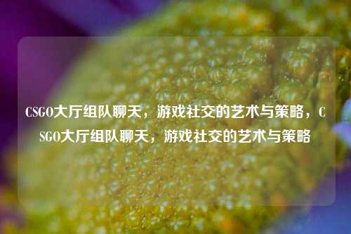 CSGO大厅组队聊天，游戏社交的艺术与策略，CSGO大厅组队聊天，游戏社交的艺术与策略