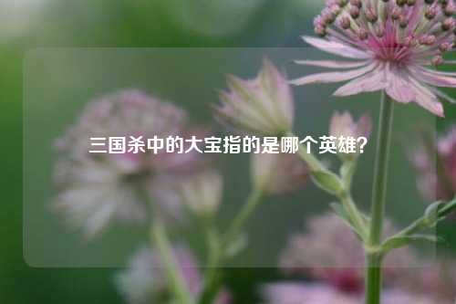 三国杀中的大宝指的是哪个英雄？