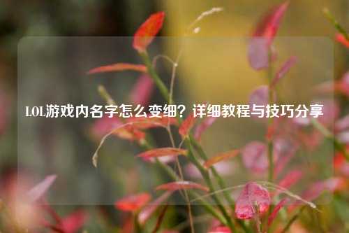 LOL游戏内名字怎么变细？详细教程与技巧分享