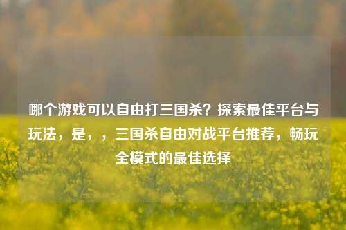哪个游戏可以自由打三国杀？探索最佳平台与玩法，是，，三国杀自由对战平台推荐，畅玩全模式的最佳选择