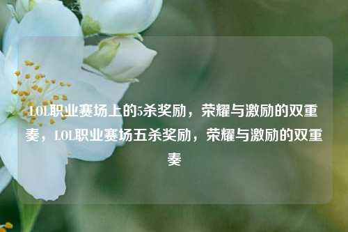 LOL职业赛场上的5杀奖励，荣耀与激励的双重奏，LOL职业赛场五杀奖励，荣耀与激励的双重奏