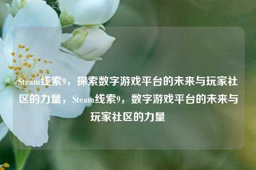 Steam线索9，探索数字游戏平台的未来与玩家社区的力量，Steam线索9，数字游戏平台的未来与玩家社区的力量