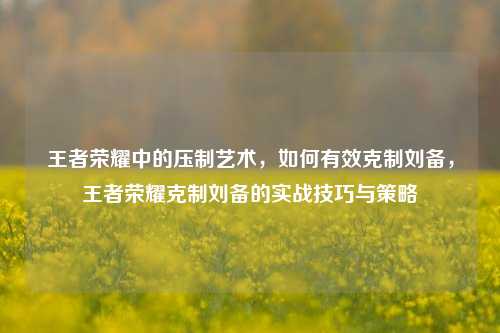 王者荣耀中的压制艺术，如何有效克制刘备，王者荣耀克制刘备的实战技巧与策略