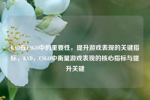 KAD在CSGO中的重要性，提升游戏表现的关键指标，KAD，CSGO中衡量游戏表现的核心指标与提升关键