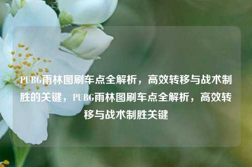 PUBG雨林图刷车点全解析，高效转移与战术制胜的关键，PUBG雨林图刷车点全解析，高效转移与战术制胜关键