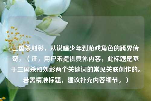 三国杀刘彰，从说唱少年到游戏角色的跨界传奇，（注，用户未提供具体内容，此标题是基于三国杀和刘彰两个关键词的常见关联创作的。若需精准标题，建议补充内容细节。）