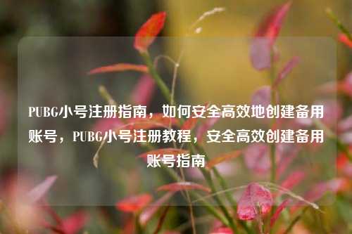 PUBG小号注册指南，如何安全高效地创建备用账号，PUBG小号注册教程，安全高效创建备用账号指南