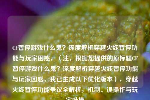 CF暂停游戏什么鬼？深度解析穿越火线暂停功能与玩家困惑，（注，根据您提供的原标题CF暂停游戏什么鬼？深度解析穿越火线暂停功能与玩家困惑，我已生成以下优化版本），穿越火线暂停功能争议全解析，机制、误操作与玩家吐槽