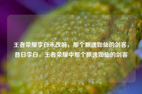 王者荣耀李白未改前，那个飘逸如仙的剑客，昔日李白，王者荣耀中那个飘逸如仙的剑客