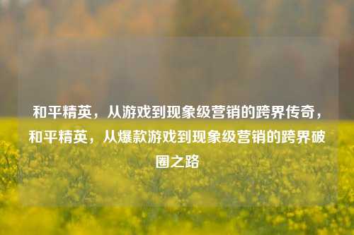 和平精英，从游戏到现象级营销的跨界传奇，和平精英，从爆款游戏到现象级营销的跨界破圈之路
