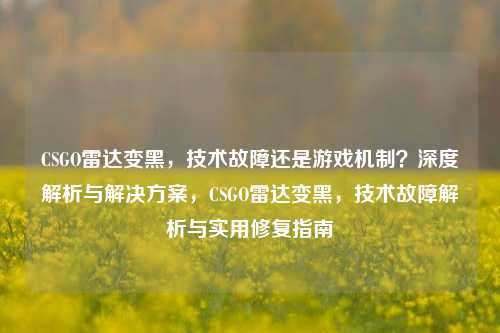 CSGO雷达变黑，技术故障还是游戏机制？深度解析与解决方案，CSGO雷达变黑，技术故障解析与实用修复指南