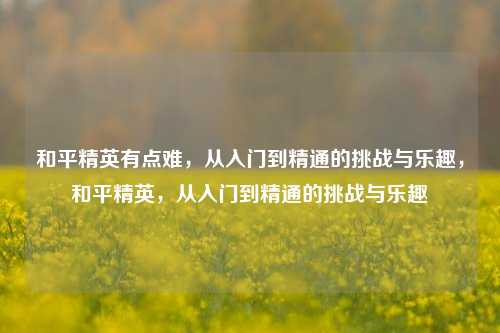 和平精英有点难，从入门到精通的挑战与乐趣，和平精英，从入门到精通的挑战与乐趣