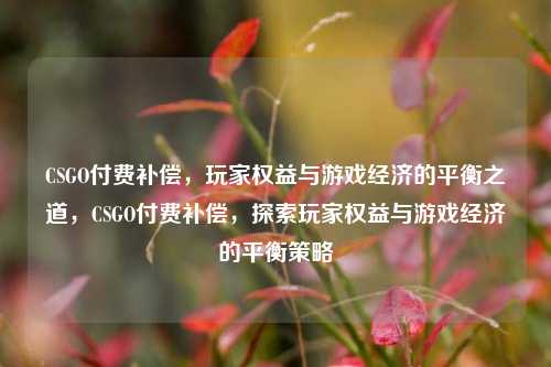 CSGO付费补偿，玩家权益与游戏经济的平衡之道，CSGO付费补偿，探索玩家权益与游戏经济的平衡策略