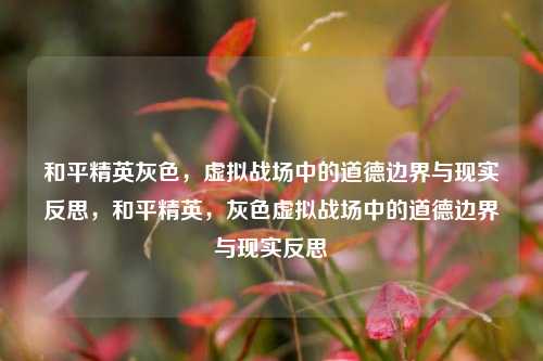 和平精英灰色，虚拟战场中的道德边界与现实反思，和平精英，灰色虚拟战场中的道德边界与现实反思