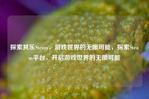 探索其乐Steam，游戏世界的无限可能，探索Steam平台，开启游戏世界的无限可能
