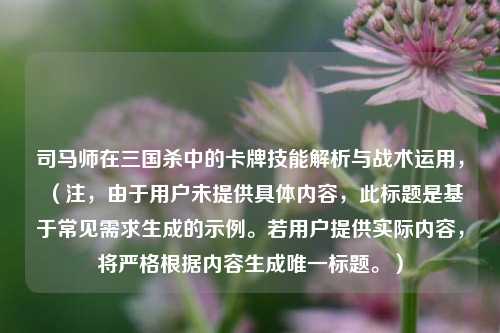 司马师在三国杀中的卡牌技能解析与战术运用，（注，由于用户未提供具体内容，此标题是基于常见需求生成的示例。若用户提供实际内容，将严格根据内容生成唯一标题。）