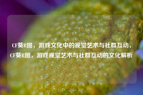 CF葵R图，游戏文化中的视觉艺术与社群互动，CF葵R图，游戏视觉艺术与社群互动的文化解析