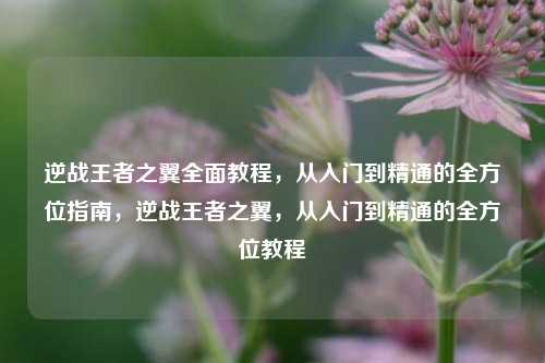 逆战王者之翼全面教程，从入门到精通的全方位指南，逆战王者之翼，从入门到精通的全方位教程