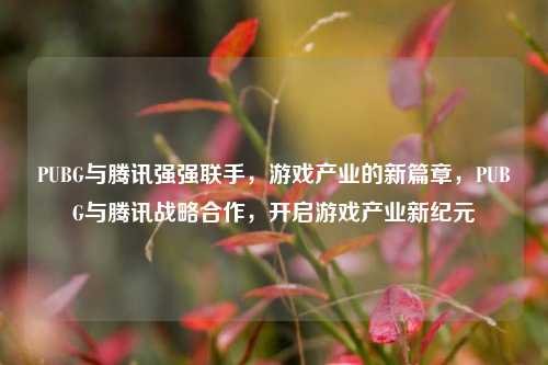 PUBG与腾讯强强联手，游戏产业的新篇章，PUBG与腾讯战略合作，开启游戏产业新纪元