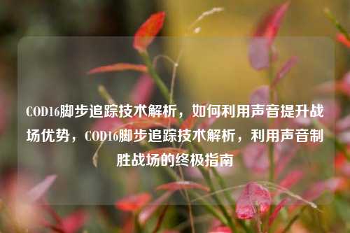COD16脚步追踪技术解析，如何利用声音提升战场优势，COD16脚步追踪技术解析，利用声音制胜战场的终极指南
