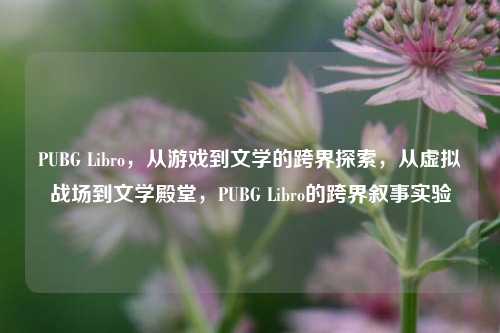 PUBG Libro，从游戏到文学的跨界探索，从虚拟战场到文学殿堂，PUBG Libro的跨界叙事实验