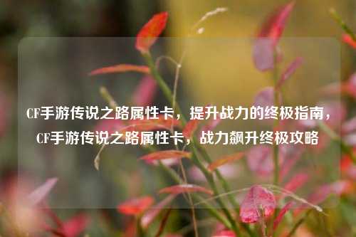 CF手游传说之路属性卡，提升战力的终极指南，CF手游传说之路属性卡，战力飙升终极攻略