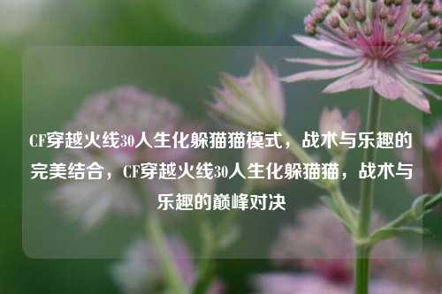 CF穿越火线30人生化躲猫猫模式，战术与乐趣的完美结合，CF穿越火线30人生化躲猫猫，战术与乐趣的巅峰对决