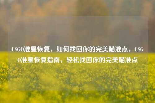 CSGO准星恢复，如何找回你的完美瞄准点，CSGO准星恢复指南，轻松找回你的完美瞄准点
