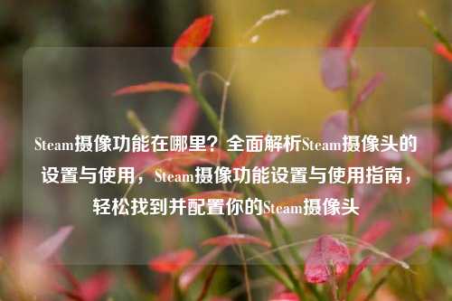 Steam摄像功能在哪里？全面解析Steam摄像头的设置与使用，Steam摄像功能设置与使用指南，轻松找到并配置你的Steam摄像头