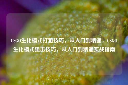 CSGO生化模式打狙技巧，从入门到精通，CSGO生化模式狙击技巧，从入门到精通实战指南
