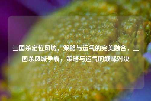 三国杀定位风城，策略与运气的完美融合，三国杀风城争霸，策略与运气的巅峰对决