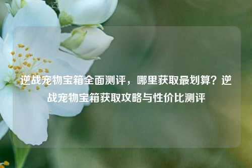 逆战宠物宝箱全面测评，哪里获取最划算？逆战宠物宝箱获取攻略与性价比测评