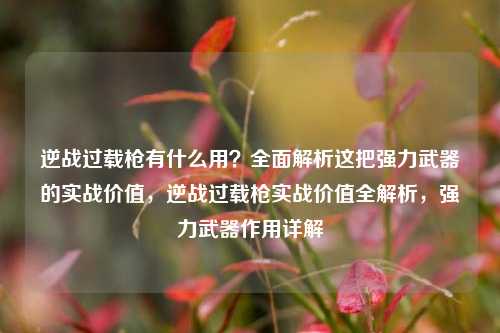 逆战过载枪有什么用？全面解析这把强力武器的实战价值，逆战过载枪实战价值全解析，强力武器作用详解