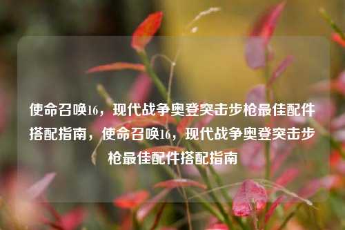 使命召唤16，现代战争奥登突击步枪最佳配件搭配指南，使命召唤16，现代战争奥登突击步枪最佳配件搭配指南