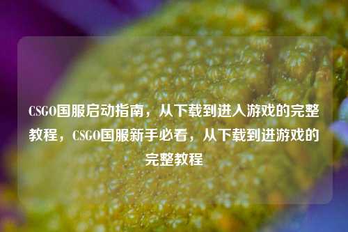 CSGO国服启动指南，从下载到进入游戏的完整教程，CSGO国服新手必看，从下载到进游戏的完整教程
