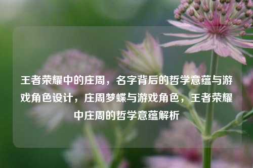王者荣耀中的庄周，名字背后的哲学意蕴与游戏角色设计，庄周梦蝶与游戏角色，王者荣耀中庄周的哲学意蕴解析