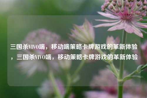三国杀VIVO端，移动端策略卡牌游戏的革新体验，三国杀VIVO端，移动策略卡牌游戏的革新体验