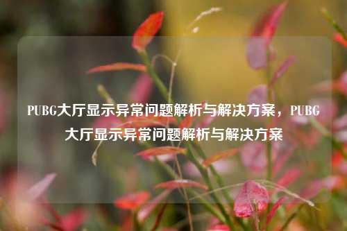 PUBG大厅显示异常问题解析与解决方案，PUBG大厅显示异常问题解析与解决方案