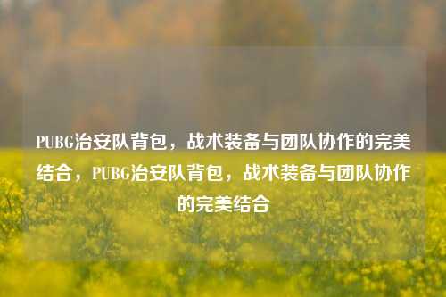 PUBG治安队背包，战术装备与团队协作的完美结合，PUBG治安队背包，战术装备与团队协作的完美结合