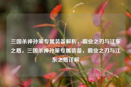 三国杀神孙策专属装备解析，霸业之刃与江东之盾，三国杀神孙策专属装备，霸业之刃与江东之盾详解