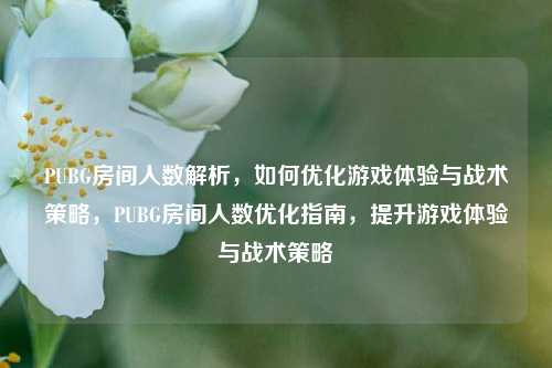 PUBG房间人数解析，如何优化游戏体验与战术策略，PUBG房间人数优化指南，提升游戏体验与战术策略